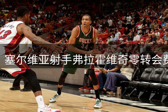 塞尔维亚射手弗拉霍维奇零转会费转战土超