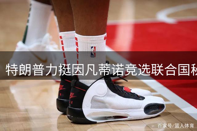 特朗普力挺因凡蒂诺竞选联合国秘书长 五大常任理事国态度成关键